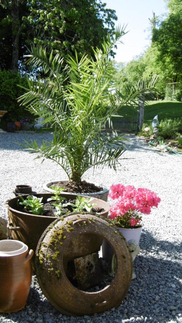 Lazy Days Bed and Breakfast Rancon Buitenkant foto